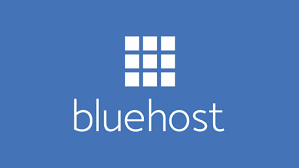 Bluehost domain